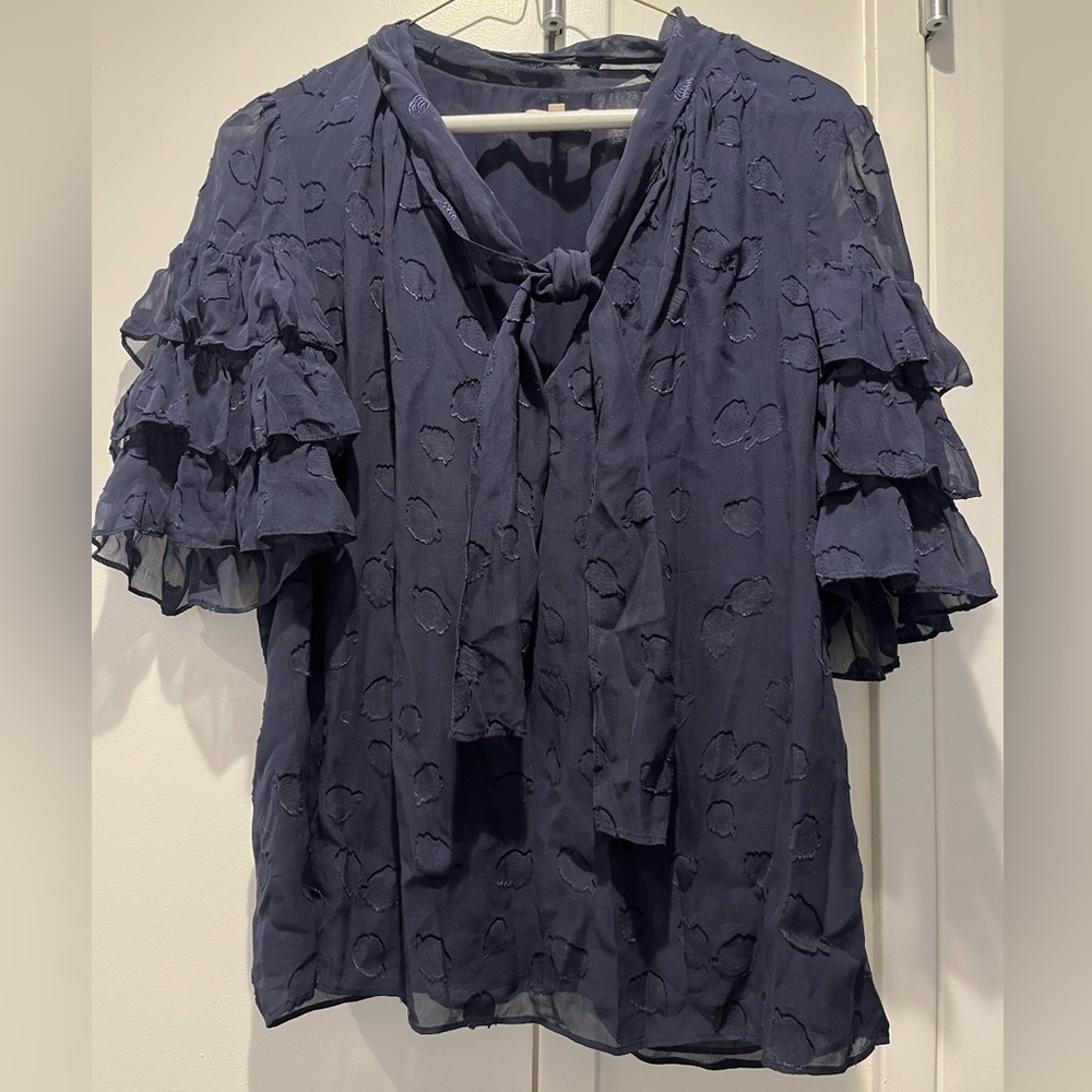 Rebecca Taylor 10 Chiffon Blue Polka Dot Blouse